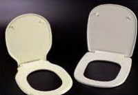 toilet seat mold